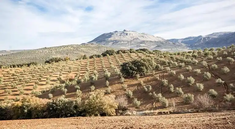 Villa in Venta De La Leche