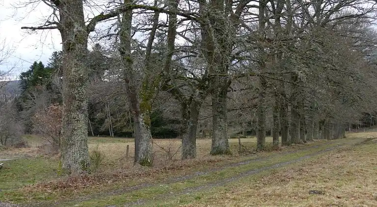 Holiday home in Teilhet