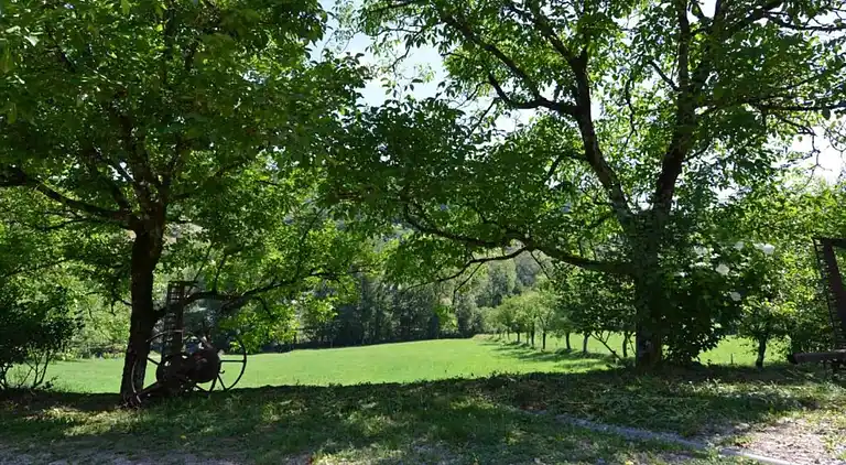 Sommerhus i Salles-la-Source