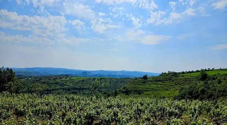 Sommerhus i Salles-la-Source