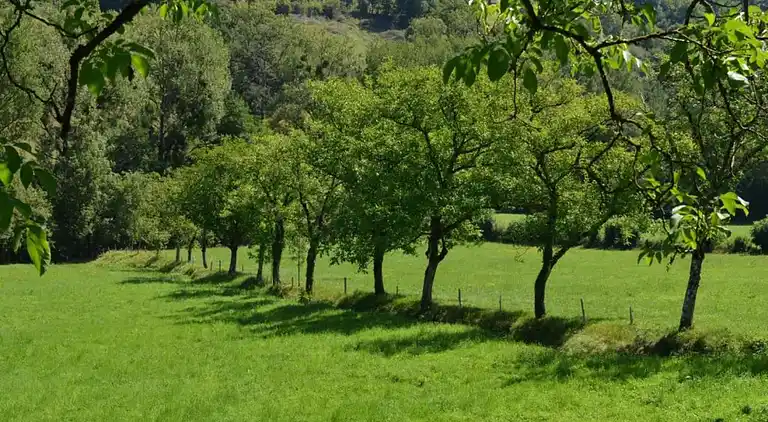 Sommerhus i Salles-la-Source