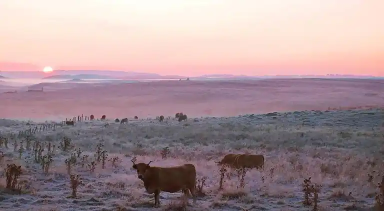 Vakantiehuis in Oradour