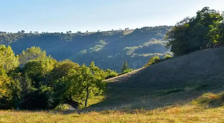 Vakantiehuis in Mourjou
