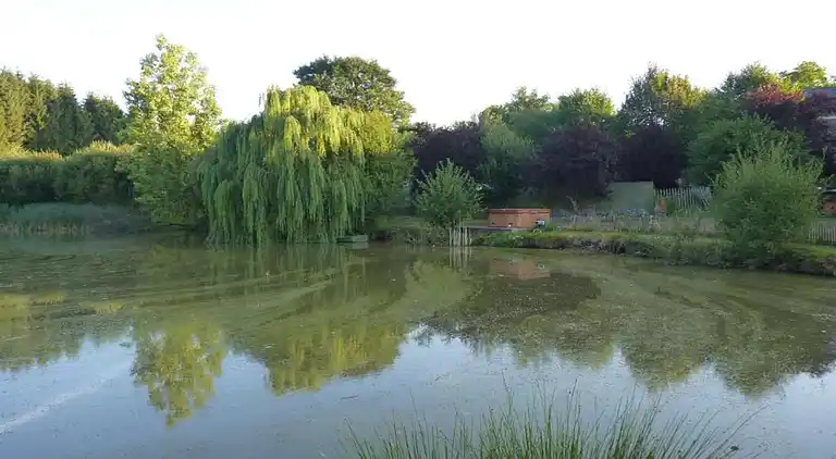 Vakantiehuis in Mourjou