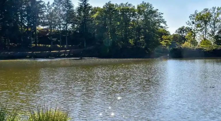 Vakantiehuis in Mourjou