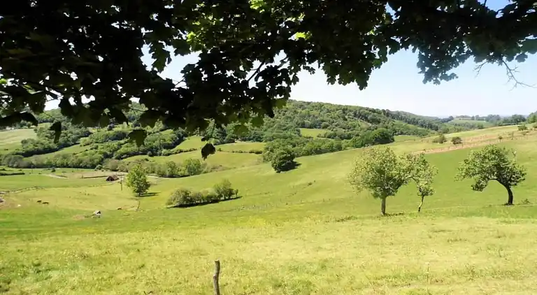 Cottage in Chartrier-Ferrière