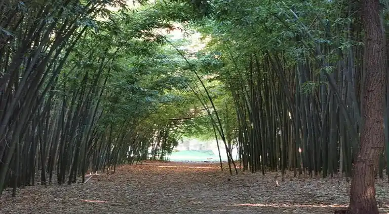 Maison de vacances en Midi de la France
