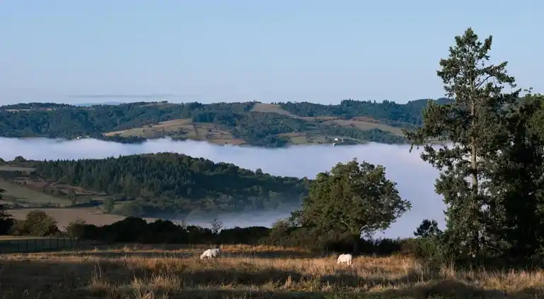 Ferielejlighed i Saint-Nectaire