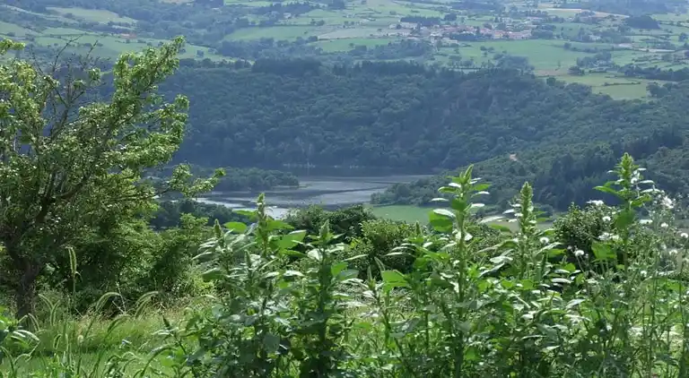 Ferielejlighed i Saint-Nectaire