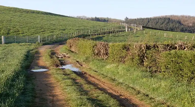 Ferielejlighed i Saint-Nectaire