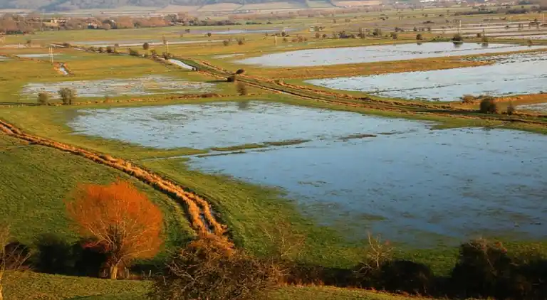 Sommerhus i Huish Champflower