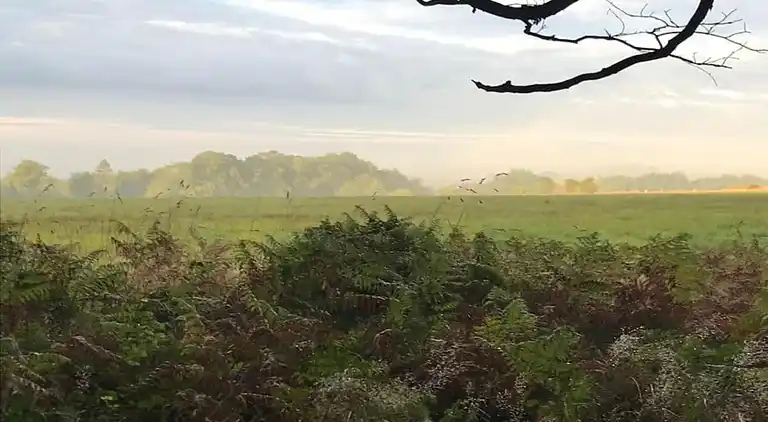 Sommerhus i Huish Champflower