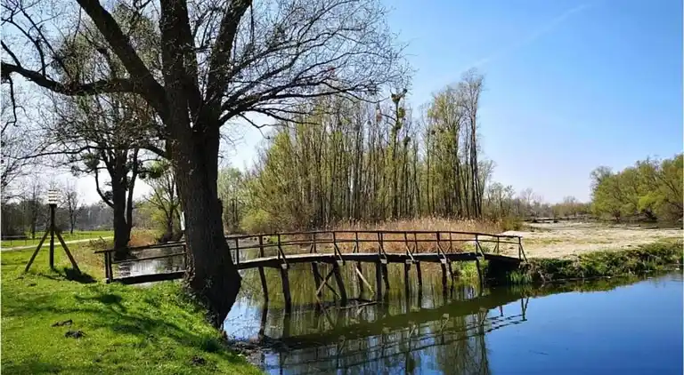 Holiday home in Dramalj