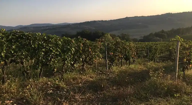 Feriebolig i San Casciano in Val di Pesa