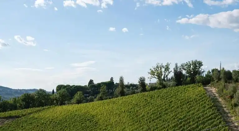 Feriebolig i San Casciano in Val di Pesa