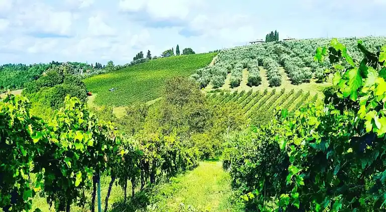 Feriebolig i San Casciano in Val di Pesa