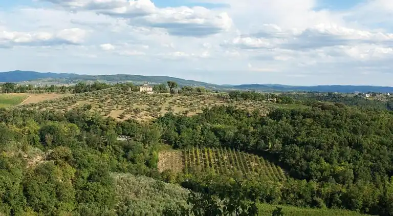 Feriebolig i San Casciano in Val di Pesa