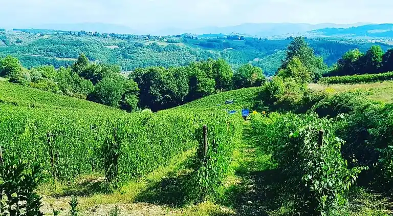 Feriebolig i San Casciano in Val di Pesa