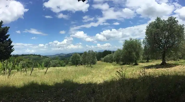 Feriebolig i San Casciano in Val di Pesa