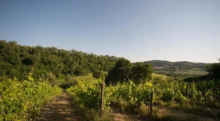 Feriebolig i San Casciano in Val di Pesa