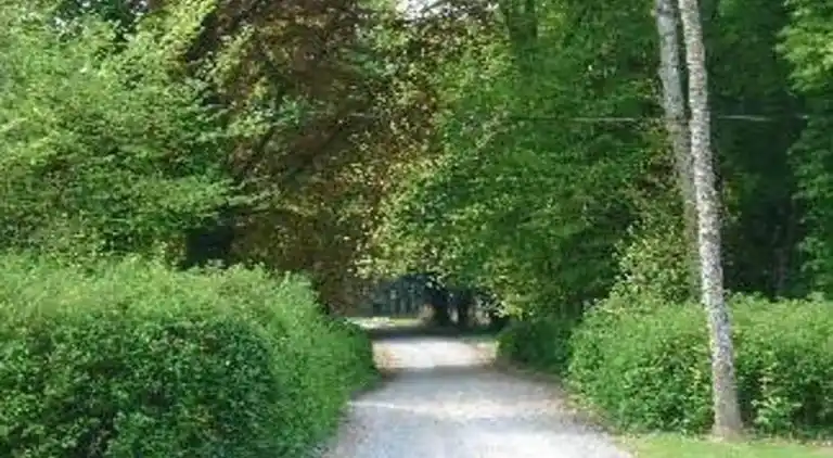 Sommerhus i Barvaux-Condroz