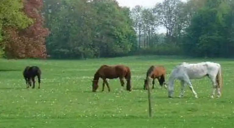 Sommerhus i Barvaux-Condroz