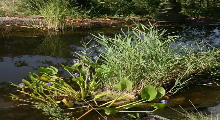 Sommerhus i Barvaux-Condroz