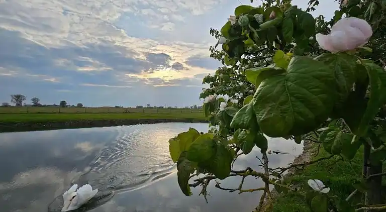 Feriebolig i Leisele