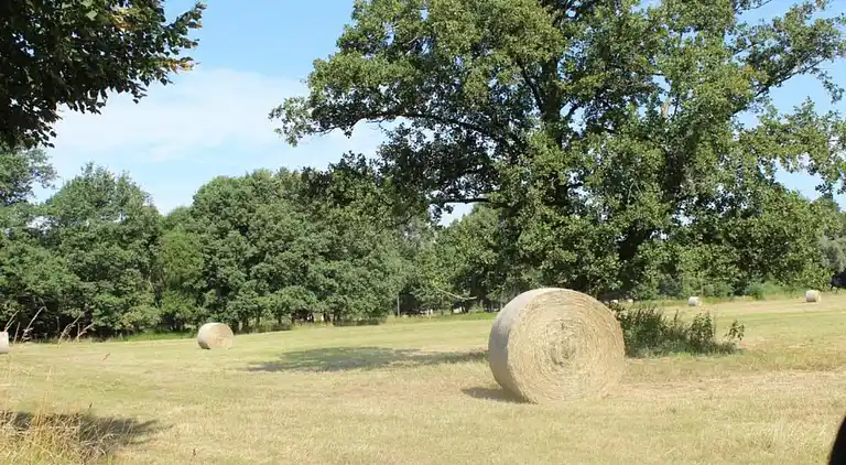 Holiday home in Schmogrow