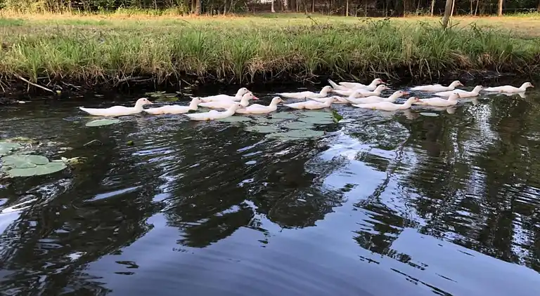 Holiday home in Schmogrow