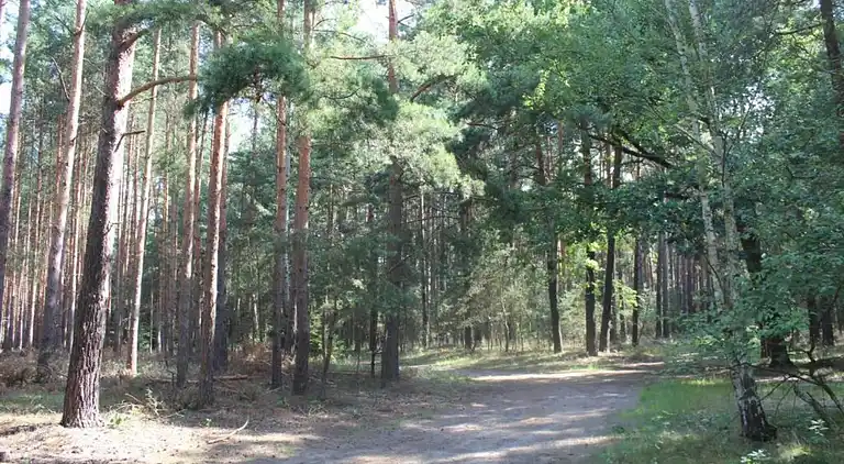 Holiday home in Schmogrow