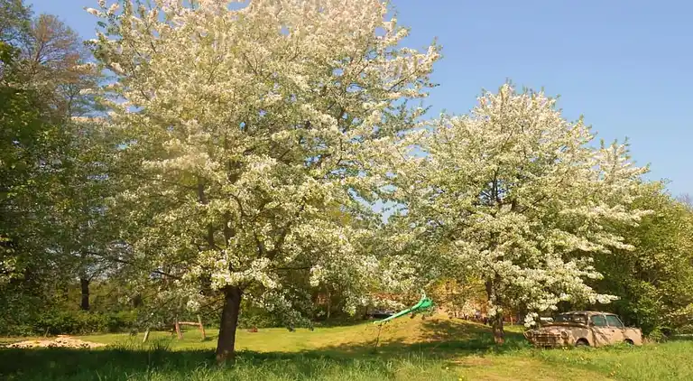 Holiday home in Schmogrow