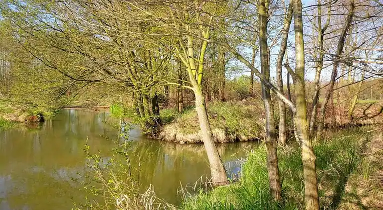 Holiday home in Schmogrow