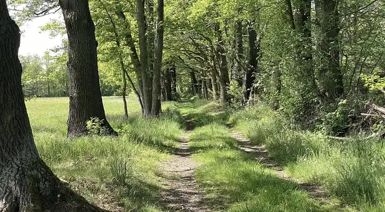 Holiday home in Schmogrow