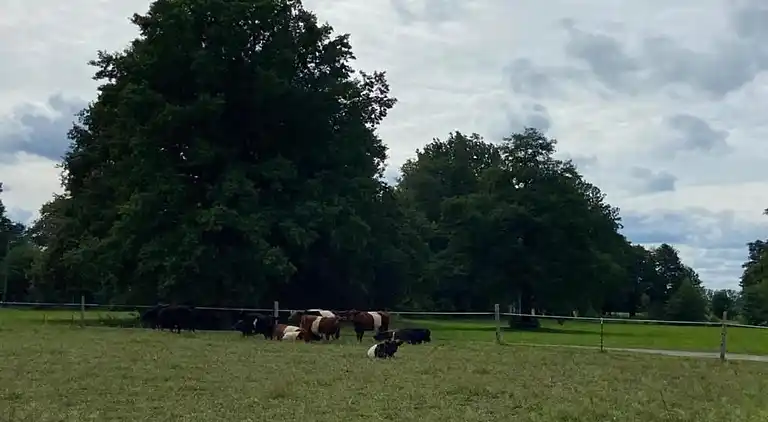 Holiday home in Schmogrow