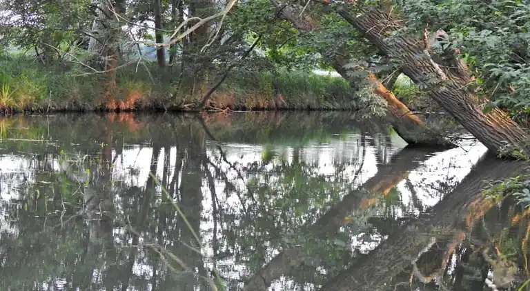 Holiday home in Schmogrow