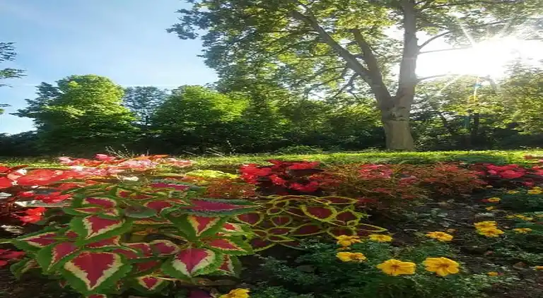 Ferielejlighed i Armsfeld