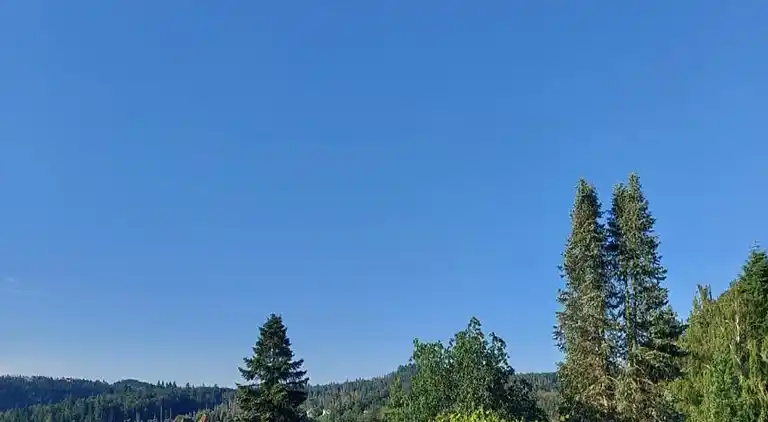 Ferielejlighed i Armsfeld