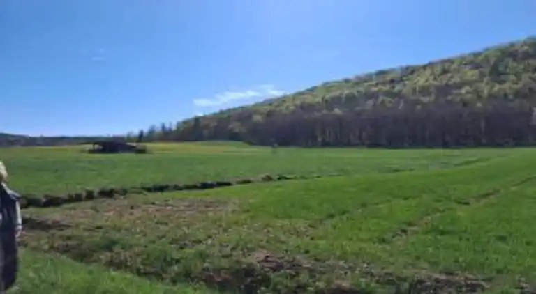 Ferielejlighed i Armsfeld