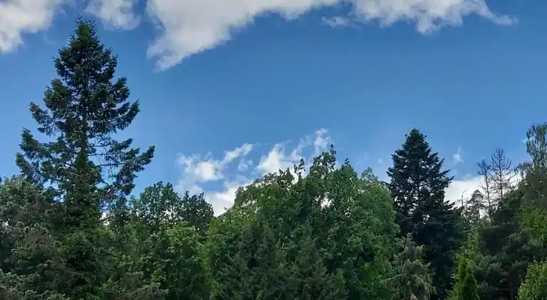 Ferielejlighed i Armsfeld