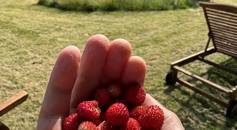 Idyllisches Ferienhaus in Strandnähe