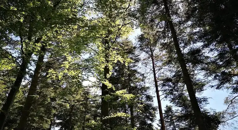 Ferielejlighed i Neuweiler