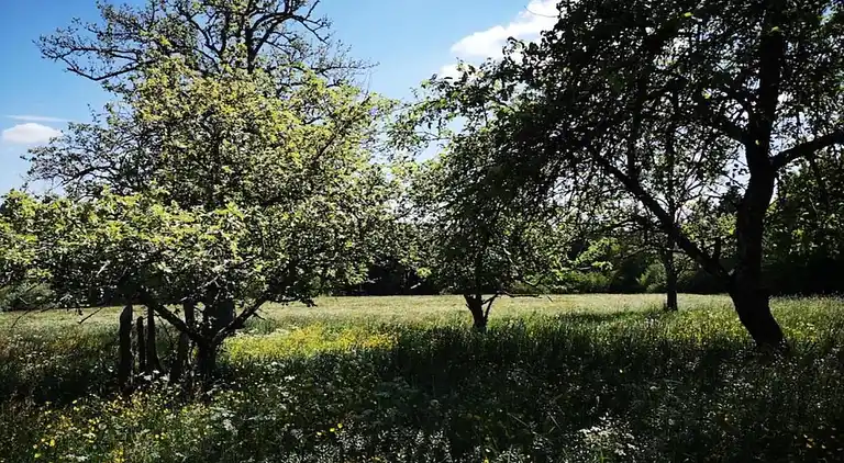 Ferielejlighed i Neuweiler