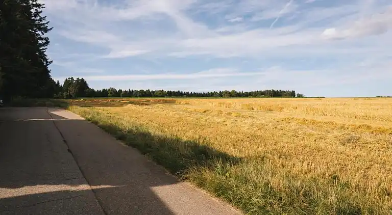 Ferielejlighed i Neuweiler