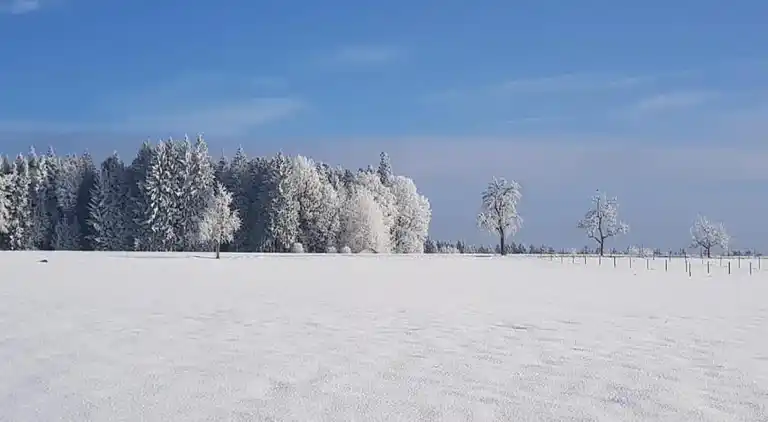 Ferielejlighed i Neuweiler