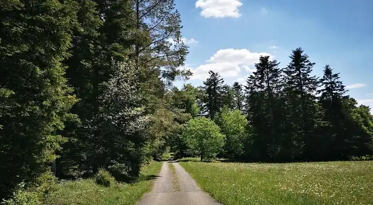 Ferielejlighed i Neuweiler