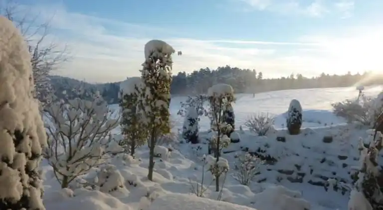 Ferielejlighed i Neuweiler