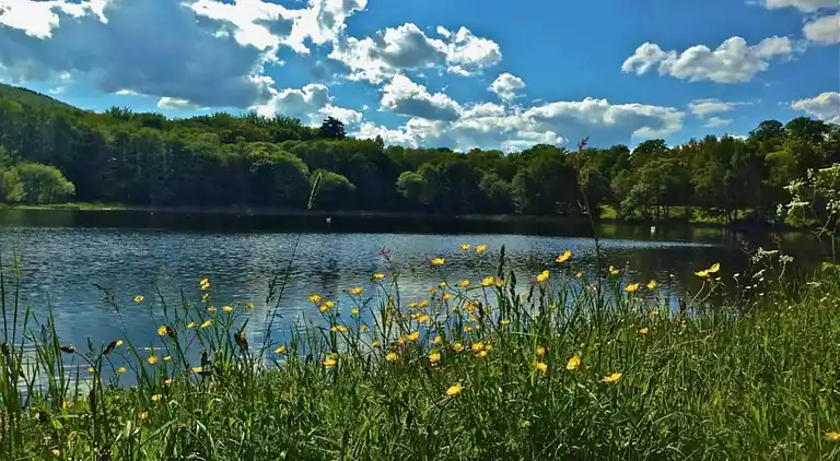 Appartement in Ernstroda