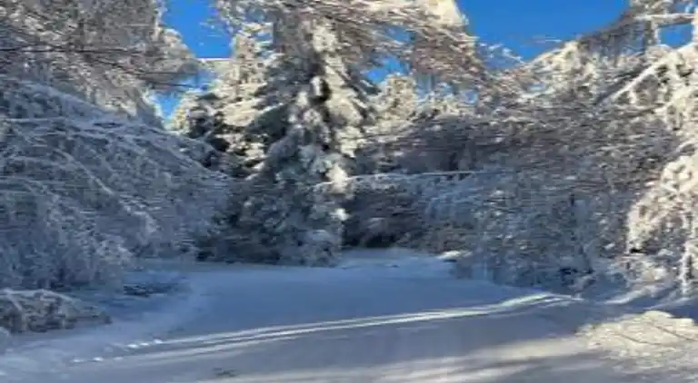 Appartement in Ernstroda