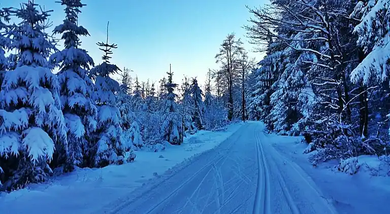 Appartement in Ernstroda